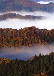 40.�_�C�i��錧��q�x��j�F���V�@�F�}