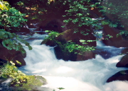 17.���J�@�F�j(�ʗV���C)