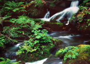21.�n糁@���j(�ʗV���C)