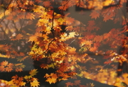 �H07.���V�@�F�}