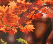 �H12.����@���Y