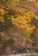 �H17.�i��@���v