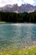 39 �h���~�[�e�B�X���F�J���b�c�A��