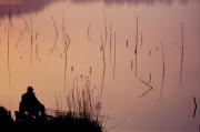 03 �ސl