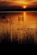 11 �ЂƂƂ�