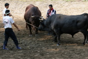05 ���̊p�˂�