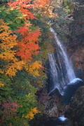 03 �֒��Ƚ��ײ݁i�΂���J�j