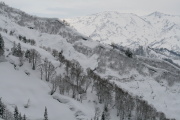 01 �����s