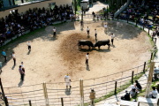 01 �R�Îu������