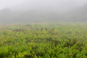 02 �Y����