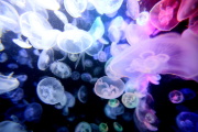 01 ���ΐ�����