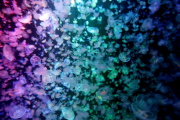 03 ���ΐ�����