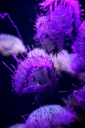 05 ���ΐ�����