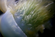 15 ���ΐ�����
