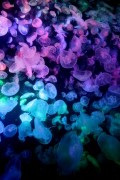 22 ���ΐ�����