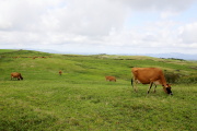 08 �y�c�q��
